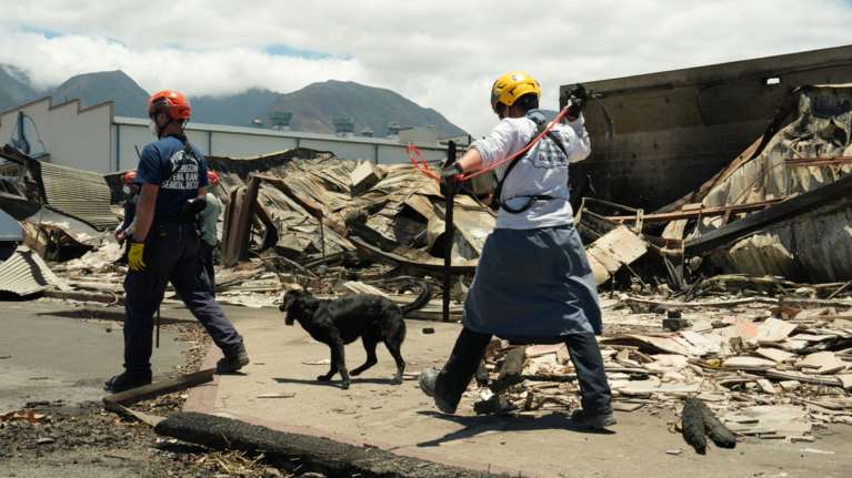 Χαβάη: Ξεπέρασαν τους 100 οι νεκροί από τις καταστροφικές πυρκαγιές - Στους 1.300 οι αγνοούμενοι [εικόνες]