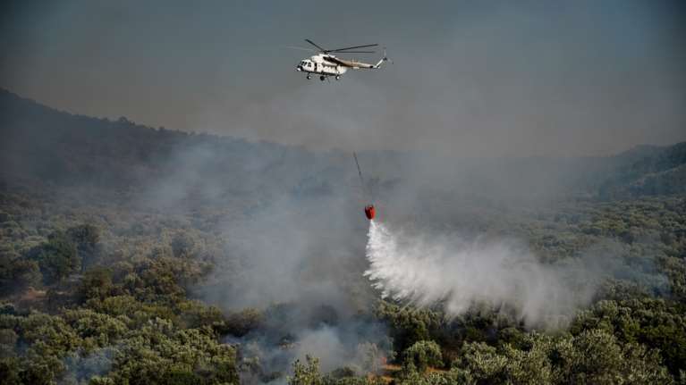 Πυροσβεστική: Βελτιωμένη η εικόνα της φωτιάς στη Δαδιά, έχει οριοθετηθεί η αναζωπύρωση στη Λέσβο