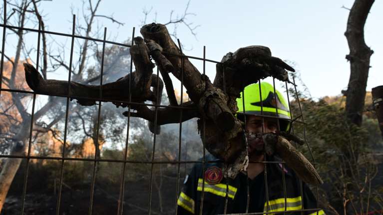 Μεσσηνία: Οριοθετήθηκε η πυρκαγιά στο Νεοχώρι