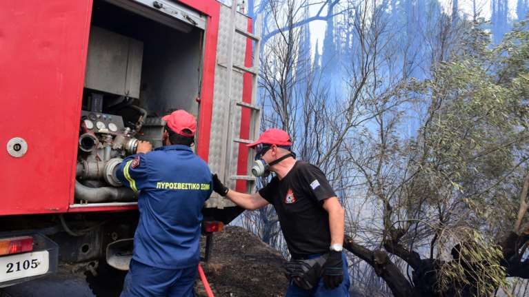 Φωτιά στη Φθιώτιδα κοντά στα &quot;μεταλλεία Τσούκας&quot; - Μεγάλη επιχείρηση της Πυροσβεστικής