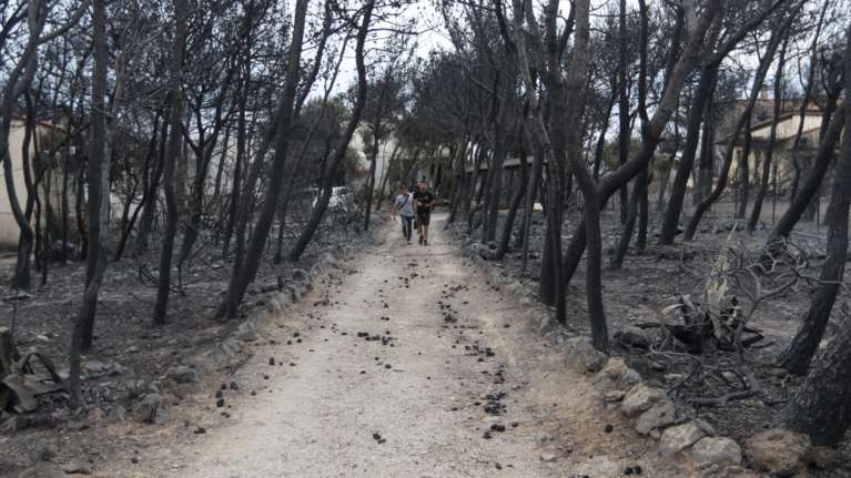 Δίκη για το Μάτι: &quot;Οι αξιωματικοί της Πυροσβεστικής ήταν αγανακτισμένοι, ζητούσαν δυνάμεις που δεν ήρθαν ποτέ&quot; - Νέα κατάθεση