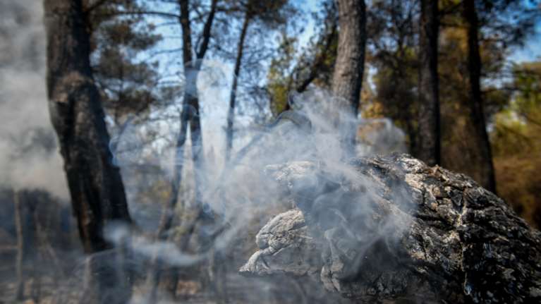 Ανατροπή με τη φωτιά στον Θεολόγο: Ο 14χρονος αρνήθηκε την εμπλοκή του με τους εμπρησμούς