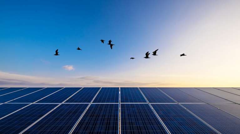 MYTILINEOS: Εξαγορά έργων ηλιακής ενέργειας 14MW στην Ιρλανδία