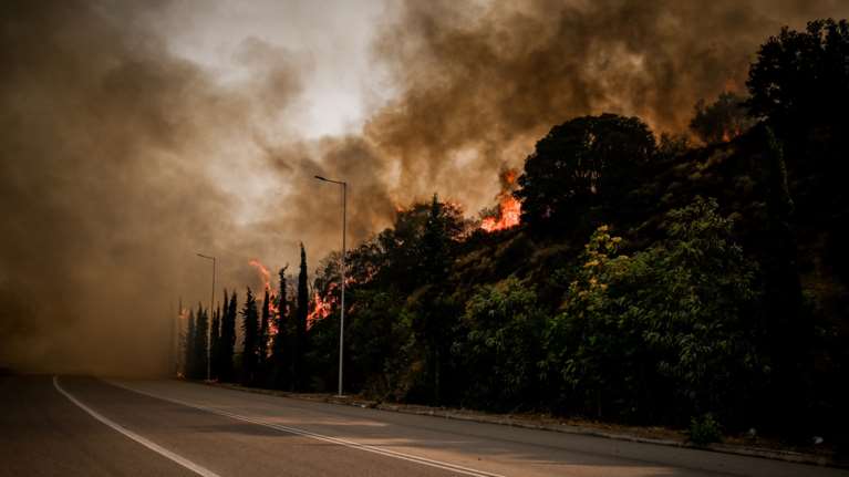 Φωτιά στη Λαμία: Κόπασαν οι άνεμοι, καλύτερη η εικόνα της πυρκαγιάς - Χωρίς ρεύμα μεγάλο μέρος της πόλης