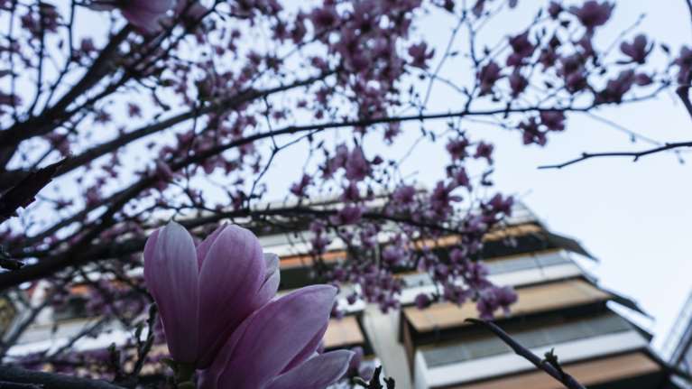 Με ανοιξιάτικο καιρό μας αποχαιρετά ο Μάρτιος - Εως 20 βαθμούς σήμερα ο υδράργυρος