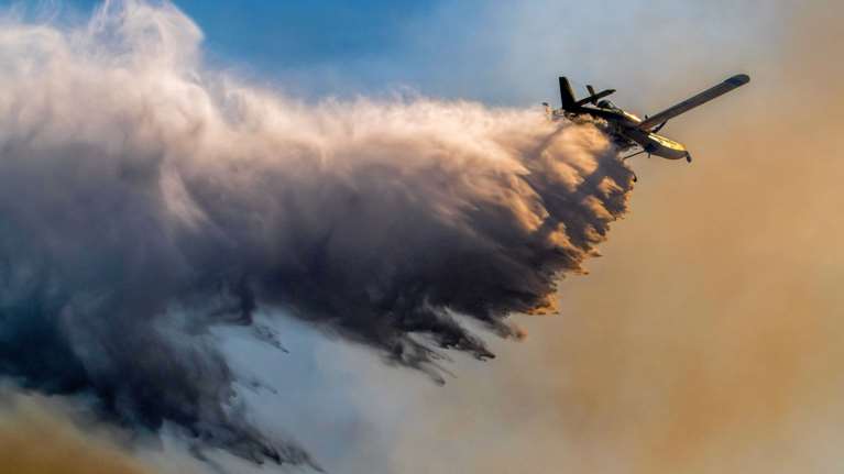 Φωτιά σε δασική έκταση στη Θεσπρωτία – Μήνυμα του 112