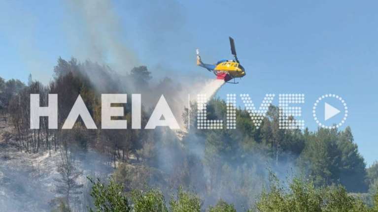 Φωτιά σε δασική έκταση στην Ηλεία: Ισχυροί άνεμοι στην περιοχή, σηκώθηκε ελικόπτερο [εικόνες-βίντεο]