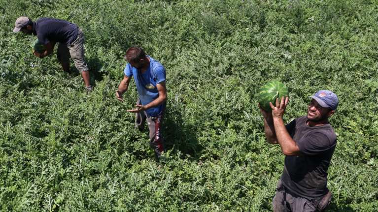 Δόθηκε η πρώτη άδεια διαμονής σε μετανάστη με τρία χρόνια εργασίας στην Ελλάδα - 5.000 αιτήσεις στην πλατφόρμα