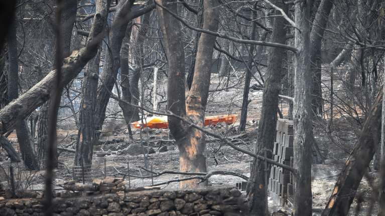 Δίκη για το Μάτι: "Πέντε λεπτά να είχαμε..." - Ένταση στην αίθουσα με κάτοικο να διακόπτει την κατάθεση του πραγματογνώμονα