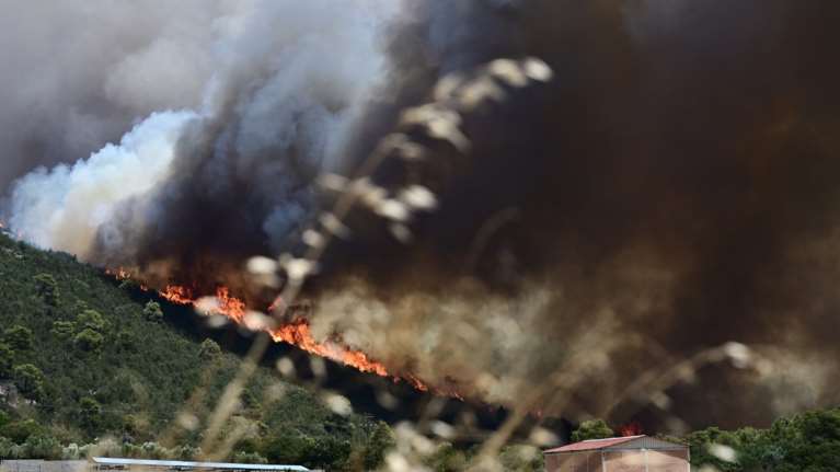 Μεσσηνία: 30χρονος ομολόγησε εμπρησμούς σε τρεις πυρκαγιές στην περιοχή