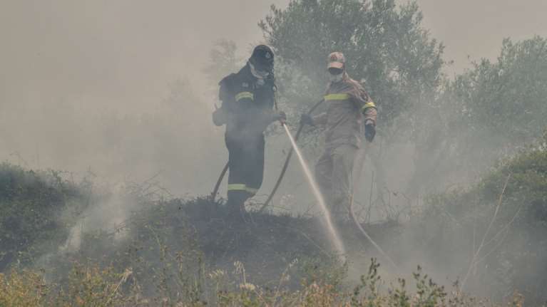 Πυρκαγιά σε δασική έκταση στον Αυλώνα του δήμου Κύμης-Αλιβερίου - Πνέουν δυνατοί άνεμοι