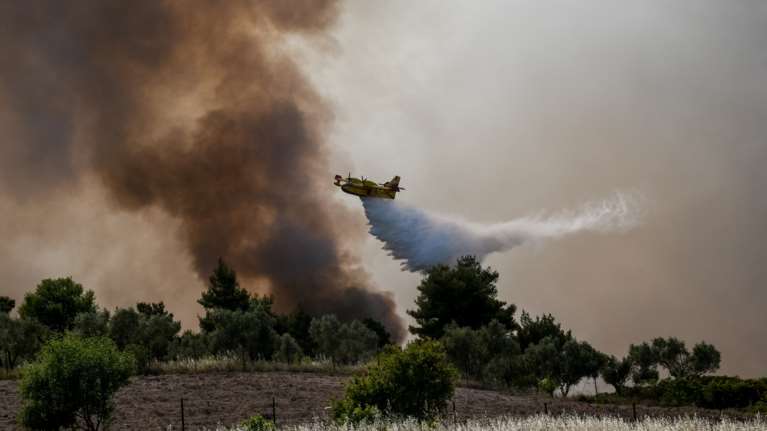 Μεγάλη φωτιά στην Σπάρτη: Καίγεται δάσος στην περιοχή Ποταμιά