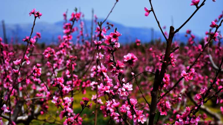 Πρόγνωση Μαρουσάκη: Καλοκαιρινός ο καιρός το Πάσχα - Ηλιοφάνεια και άνοδος της θερμοκρασίας [βίντεο]