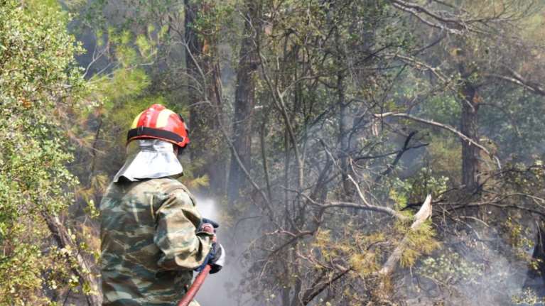 Φωτιά στην Πάτρα: Στις φλόγες δασική έκταση στην περιοχή Σκιόεσσα Αχαΐας