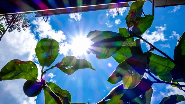 Καλοκαιρινός o καιρός το Σάββατο: Λιακάδα, άνοδος της θερμοκρασίας και βοριάδες