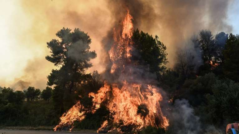 Συναγερμός στην πυροσβεστική: Φωτιά στη Λακωνία - Σε δασική έκταση
