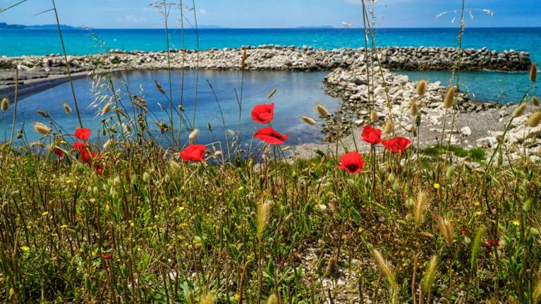Καιρός: Ζέστη και αφρικανική σκόνη σήμερα - Πότε έρχεται η &quot;ψυχρή λίμνη&quot;, τι λένε οι μετεωρολόγοι