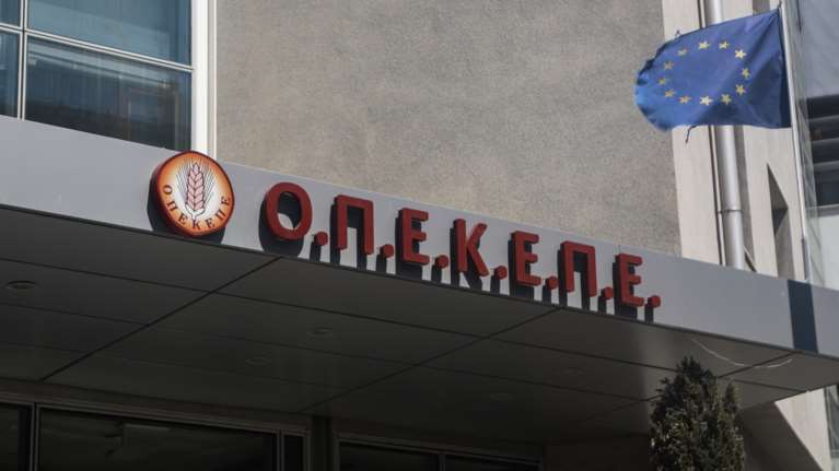 Σκάνδαλο ΟΠΕΚΕΠΕ: Καταπατημένες εκτάσεις σε Νάξο, Αμοργό και Μύκονο - Οικόπεδο φιλέτο στην Πάνορμο δηλώθηκε βοσκοτόπι [βίντεο]