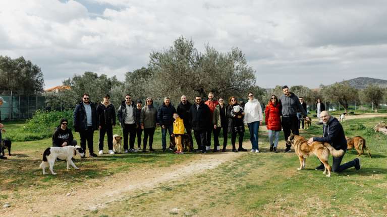 Η AXIA CERT δίνει το παράδειγμα: Εθελοντισμός και κοινωνική προσφορά για τα αδέσποτα ζώα