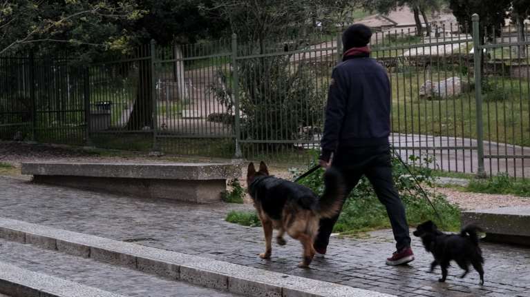 Κορονοϊός: 78% αυξημένος ο κίνδυνος για όσους βγάζουν βόλτα τον σκύλο τους - Τι δείχνει έρευνα