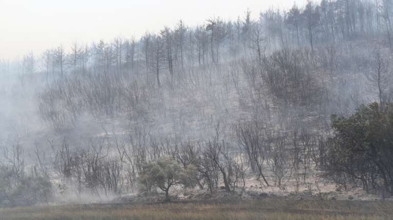 Σε ύφεση η φωτιά στον Έβρο - Πάνω από 930.000 στρέμματα έγιναν στάχτη [βίντεο]