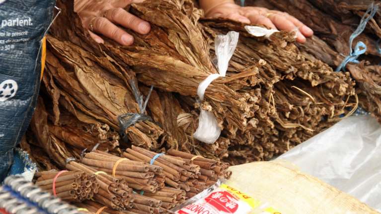 Ερχεται το πρώτο εμβόλιο κατά του κορονοϊού από φύλλα καπνού; Η ιαπωνική εταιρεία που θα ζητήσει έγκριση