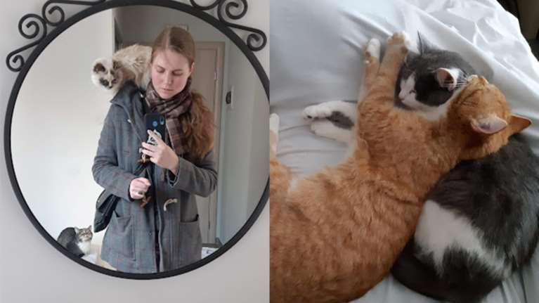 Μητέρα και κόρη ταξίδεψαν 3,5 μέρες με τα 16 ζώα τους από την Ουκρανία στην Ελλάδα