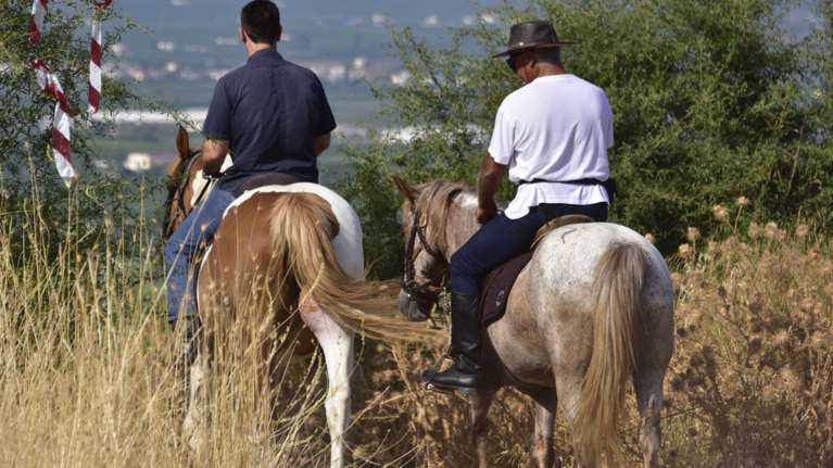Χαλκιδική: Δικογραφία σε βάρος ιδιοκτήτη αλόγου - Το είχε δεμένο να καίγεται στον ήλιο