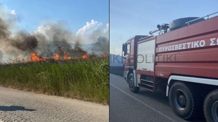 Φωτιά στη Χαλκιδική: Μάχη να μην περάσει στο βουνό- Πνέουν ισχυροί άνεμοι [Εικόνες]