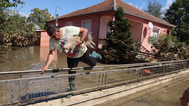 Κακοκαιρία Daniel: Κάτοικοι στα Τρίκαλα ζητούν την απομάκρυνση των νεκρών ζώων - Εντονη η δυσοσμία