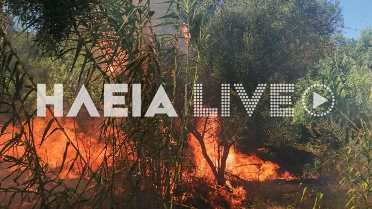 Φωτιά στα Λεχαινά Ηλείας: Μαίνεται η πυρκαγιά - Ενισχύθηκαν οι δυνάμεις της Πυροσβεστικές, κρίσιμες οι επόμενες ώρες [βίντεο]