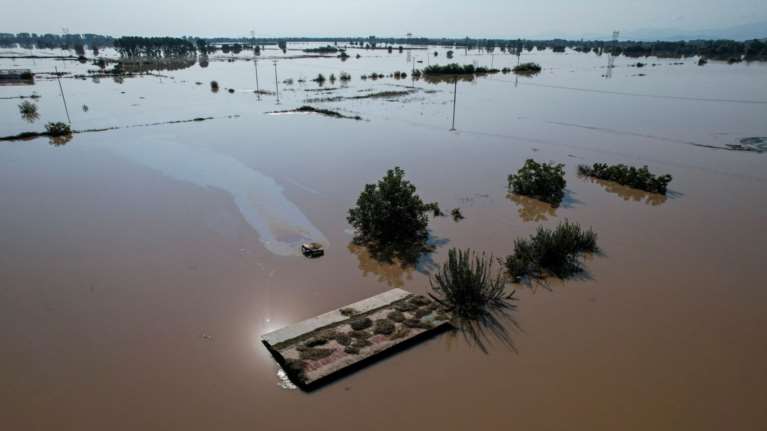 Οι καταστροφές στον Θεσσαλικό κάμπο φέρνουν κύμα ακρίβειας- Η μισή αγροτική και κτηνοτροφική παραγωγή γίνεται στην περιοχή [στοιχεία]