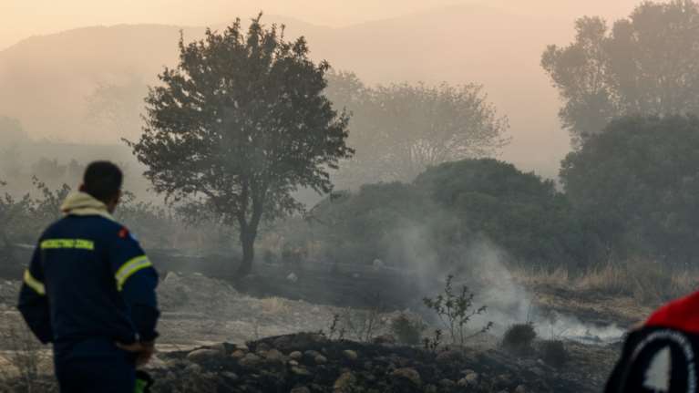 Γρεβενά: Πυρκαγιά σε δασική έκταση - Επιχειρούν επίγειες και εναέριες δυνάμεις