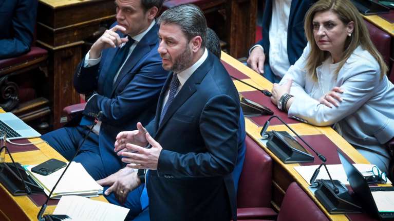 Ανδρουλάκης για ΟΠΕΚΕΠΕ: Άριστοι στην κακοδιαχείριση και πρωταθλητές στα πρόστιμα