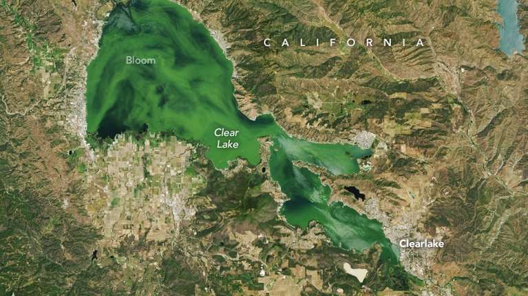 ΗΠΑ: Τοξικά φύκια έκαναν μια λίμνη τόσο πράσινη που ξεχωρίζει από το... διάστημα