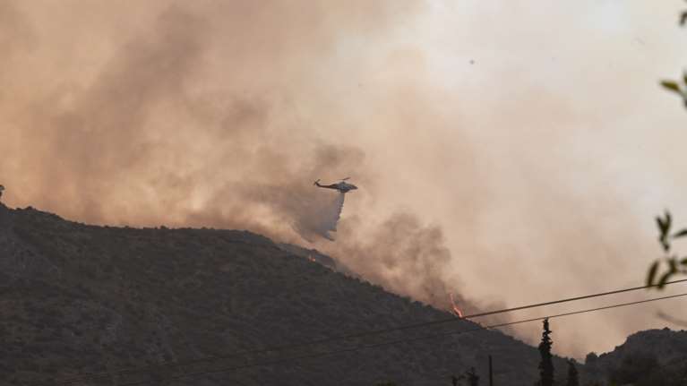 Εισαγγελική έρευνα για τις φωτιές στη Μαγνησία - Υπόνοιες για οργανωμένο σχέδιο εμπρησμών