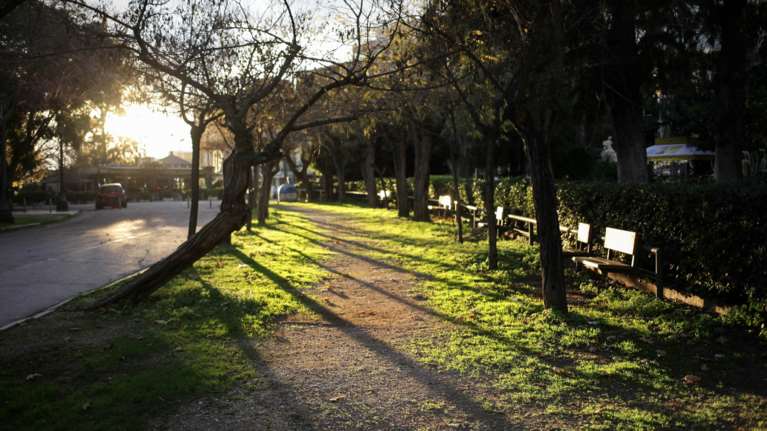 "Με αλκυονίδες ημέρες θα υποδεχτούμε τον Φλεβάρη" - Πρόγνωση Τσατραφύλλια για ηλιοφάνεια και άνοδο της θερμοκρασίας