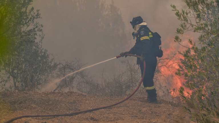 Πυρκαγιά στον Βαρνάβα Αττικής- 88 μέτωπα μόνο μέσα σε 24 ώρες: &quot;Επιτέλους... Δεν παίζουμε με τη φωτιά&quot; η έκκληση Κικίλια