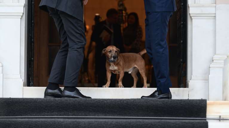 Έκλεψε την παράσταση ξανά ο Πίνατ: Τα παιχνίδια του Ρούτε με την ακαταμάχητη "μασκότ" στο Μαξίμου [εικόνες-βίντεο]