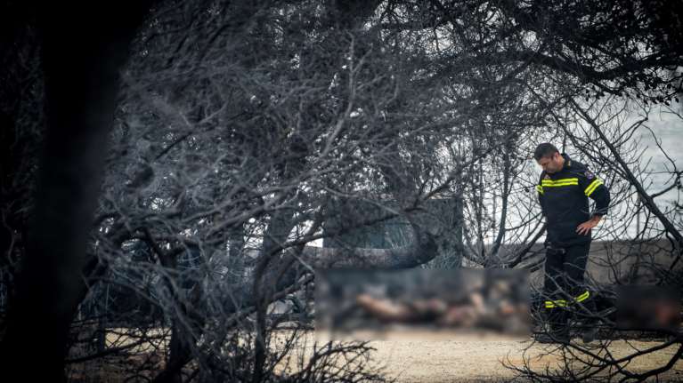 Δίκη για το Μάτι: Οι εγκληματικές παραλείψεις και τα τραγικά λάθη που έκαναν τη φωτιά μία από τις φονικότερες παγκοσμίως