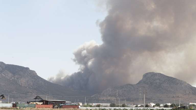Συνελήφθη 43χρονος για εμπρησμό στο Ζεφύρι - Θεωρείται υπαίτιος για δύο πυρκαγιές