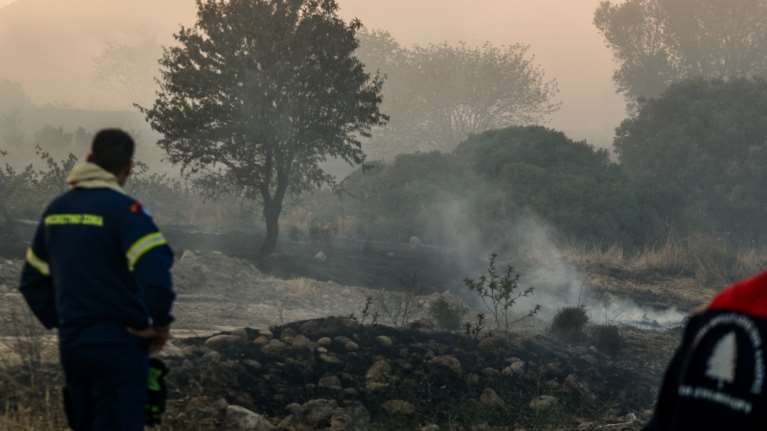 Έσβησε η φωτιά που ξέσπασε στα Στύρα Ευβοίας