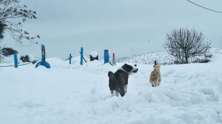 Καθηγητής εξηγεί τι προκάλεσε την κακοκαιρία Barbara - Συνδέεται με την κλιματική κρίση;