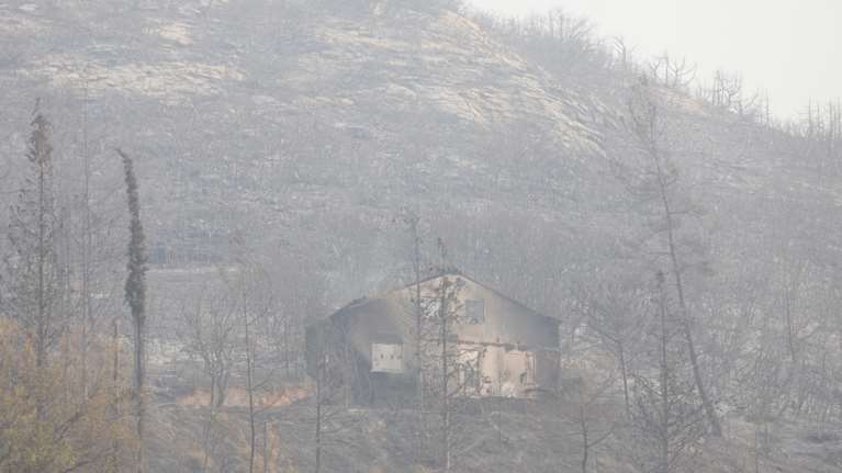 Έβρος - Δαδιά: Έσβησε η φωτιά μετά από 17 ημέρες - Σε επιφυλακή για αναζωπυρώσεις