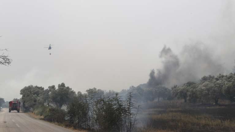 Έκτη ημέρα για τη φωτιά στην Αλεξανδρούπολη: Μάχη με αναζωπυρώσεις και ανέμους - Κάηκαν πάνω από 620.000 στρέμματα