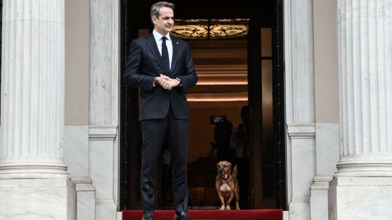 "Κανένα ζώο αδέσποτο, κανένα κακοποιημένο": Η ανάρτηση Μητσοτάκη για την Παγκόσμια Ημέρα Αδέσποτων Ζώων