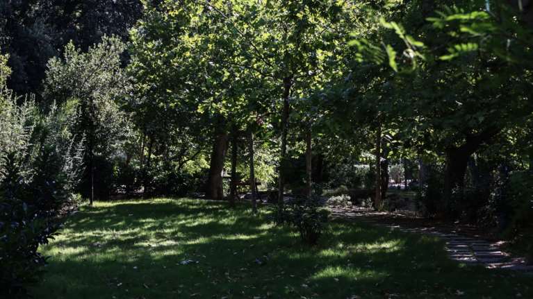 Συναγερμός στο Πεδίον του Άρεως: Εντοπίστηκε κρανίο πάνω σε δέντρο