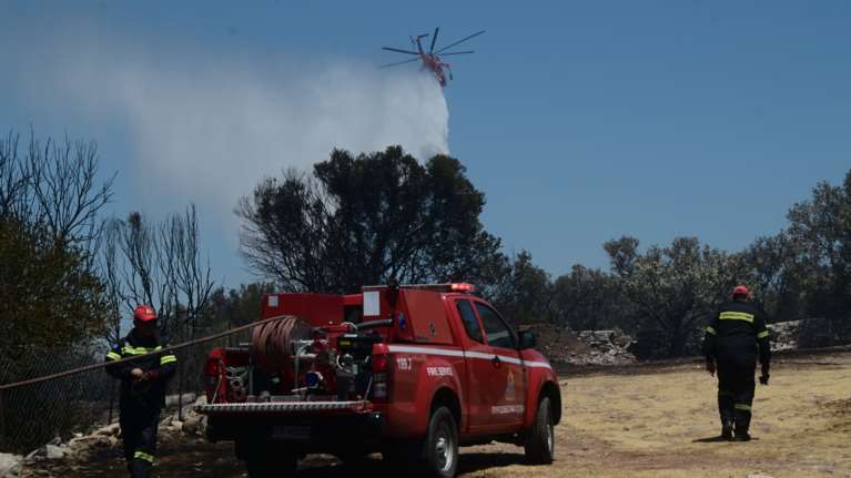 Οριοθετήθηκαν οι πυρκαγιές σε Αλιβέρι, Δομοκό, Ναύπλιο, Τανάγρα και Νέα Σάντα Ροδόπης