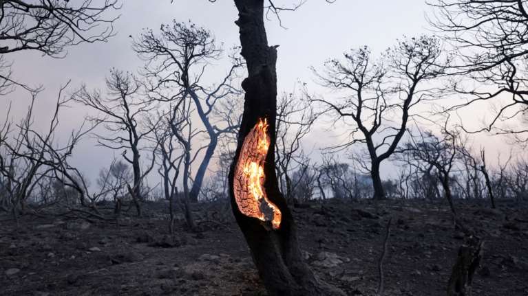 Εικόνες καταστροφής στην Αττική: 12+1 εντυπωσιακά καρέ του Reuters από τις φωτιές