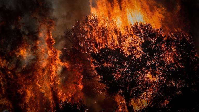Φωτιά στη Ραφήνα: Όλα όσα έγιναν σε 114 δευτερόλεπτα - Σε ολονύχτια επιφυλακή πυροσβέστες και κάτοικοι [βίντεο]